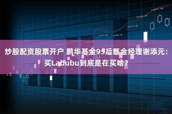 炒股配资股票开户 鹏华基金95后基金经理谢添元：买Labubu到底是在买啥？