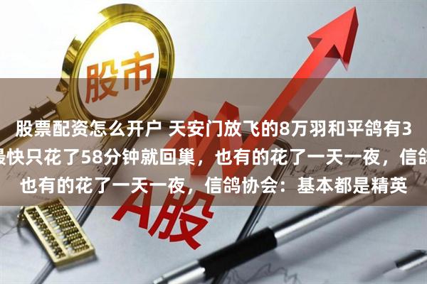 股票配资怎么开户 天安门放飞的8万羽和平鸽有3200多只来自天津，最快只花了58分钟就回巢，也有的花了一天一夜，信鸽协会：基本都是精英